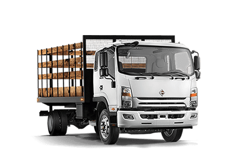 camion ligero con redilas
